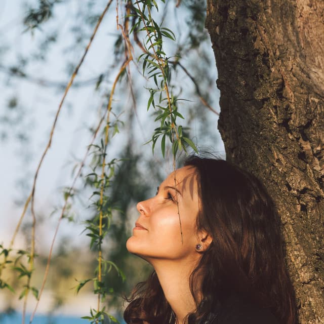 Radiant Calmness: An Ethereal Lofi Relaxation Journey to Serenity - ChillHop Cafe