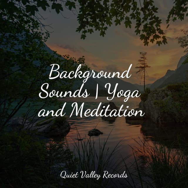 Background Sounds | Yoga and Meditation - Easy Sleep Music