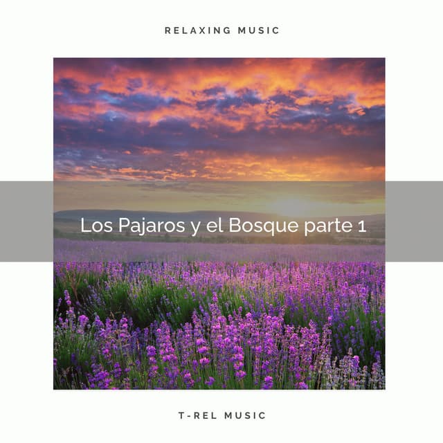 2021 Nuevo: Los Pajaros y el Bosque - Sonidos De Pajaros