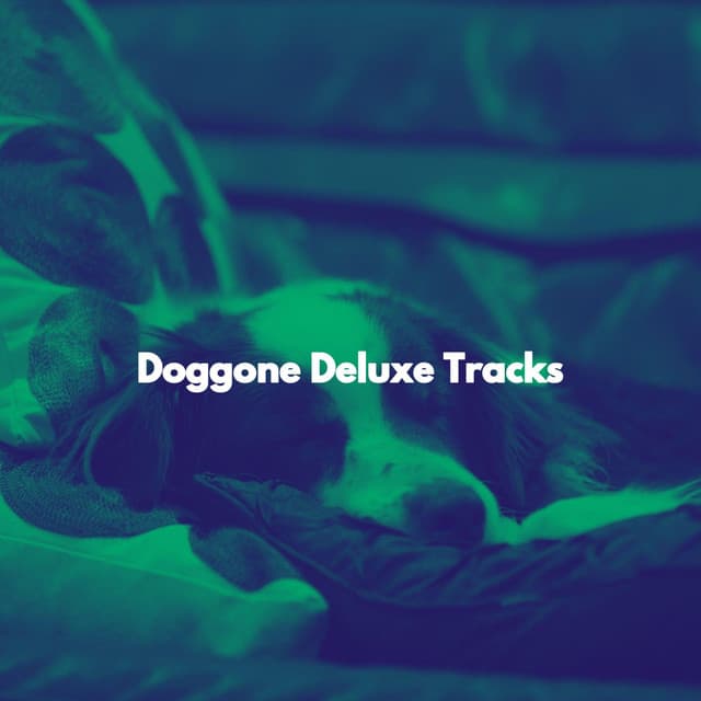 Doggone Deluxe Tracks - Cleaning Music Play List