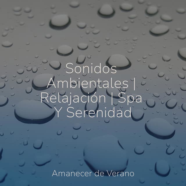 Sonidos Ambientales | Relajación | Spa Y Serenidad - Yoga