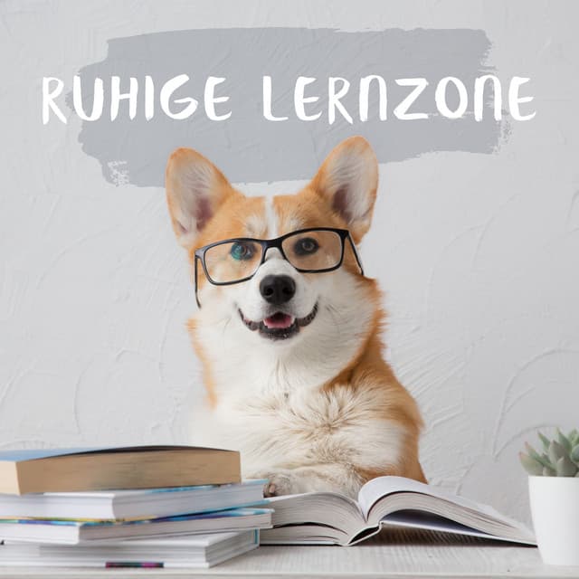Ruhige Lernzone: Bleiben Sie Ruhig und Konzentrieren Sie Sich mit Beruhigender Musik - Innere Ruhe Akademie