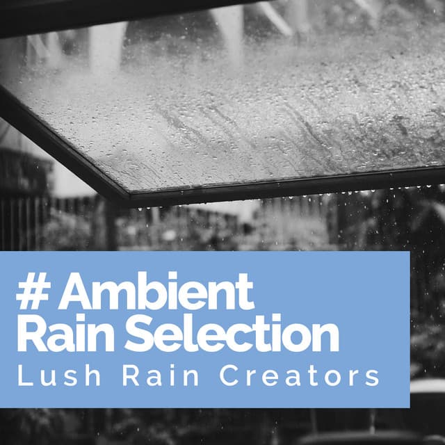 # Ambient Rain Selection - Lush Rain Creators