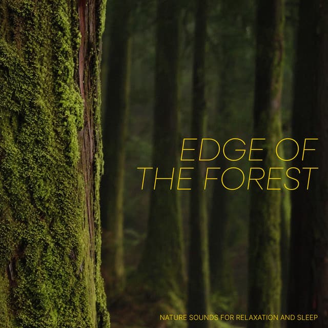 Edge of the Forest - Nature Sounds for Relaxation and Sleep
