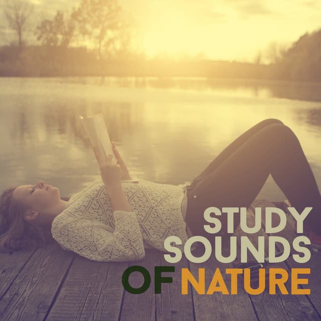 Study Sounds of Nature - Exam Study Nature Music Nature Sounds