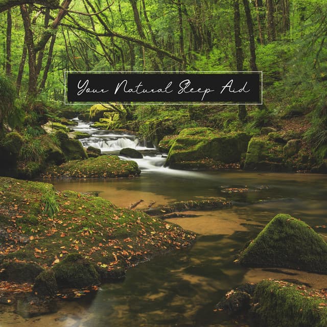 Your Natural Sleep Aid: Calming Music with Sounds of Nature to Help You Fall Asleep - Robin Gardner