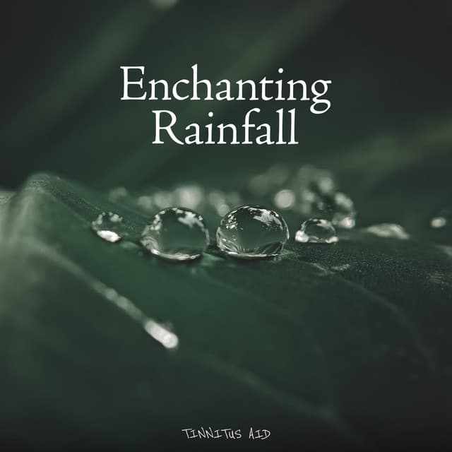 Enchanting Rainfall - Tinnitus Aid