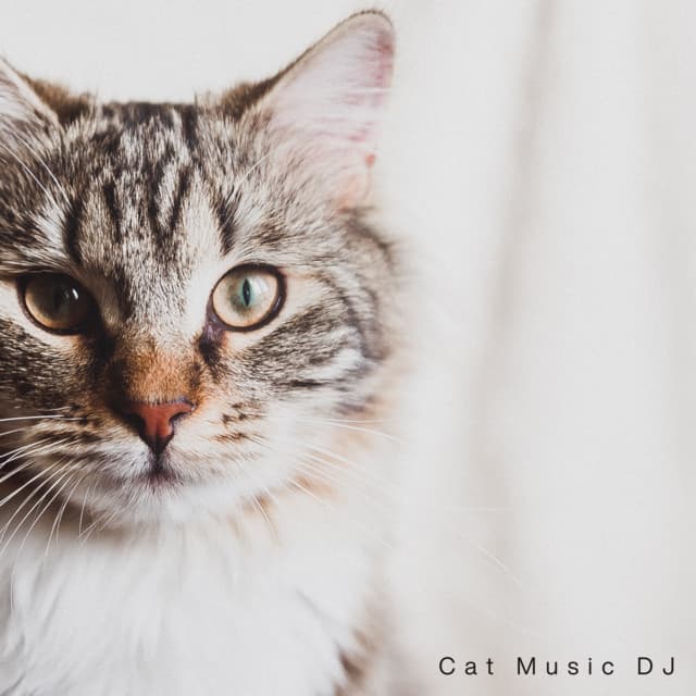 Soothing Meows - Cat Music DJ