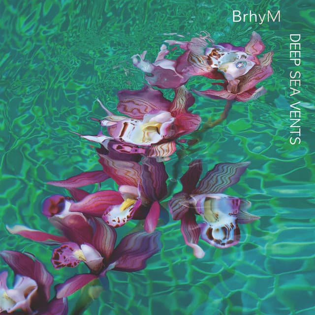 BrhyM