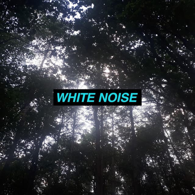 White Noise Rain - White Noise Collectors