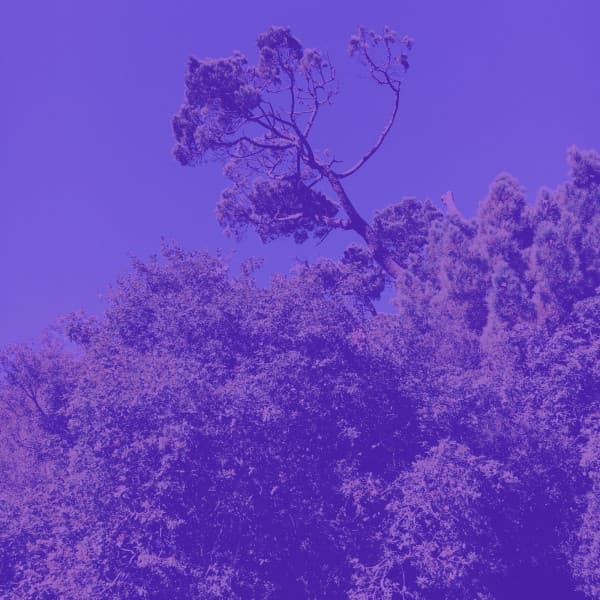 Bgm for Bhakti Yoga - Yoga Music Moments