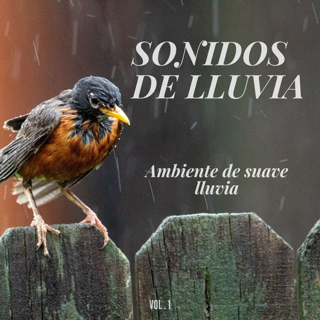 Sonidos de lluvia: Ambiente de suave lluvia Vol.1 - El Canal del Clima