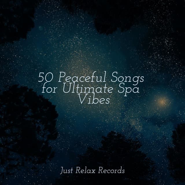 50 Peaceful Songs for Ultimate Spa Vibes - Deep Sleep Meditation