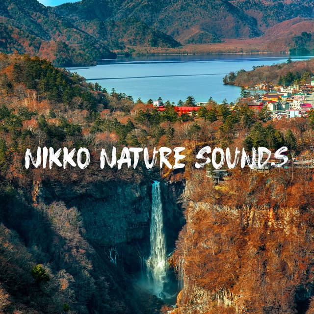 Nikko Nature Sounds: Most Calming Soundscapes from Japanese Nikko National Park - Natural Samples