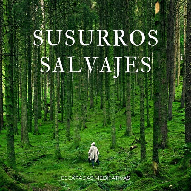 Susurros Salvajes: Escapadas Meditativas - Tesoros del bosque