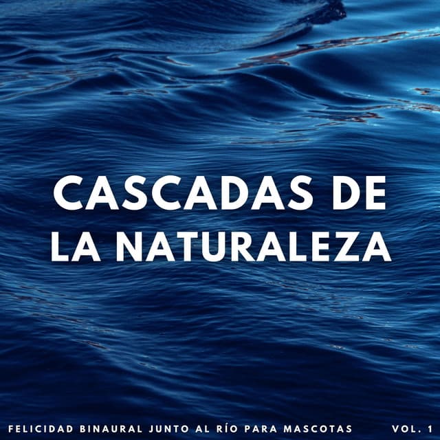 Cascadas De La Naturaleza: Felicidad Binaural Junto Al Río Para Mascotas - Camino del agua