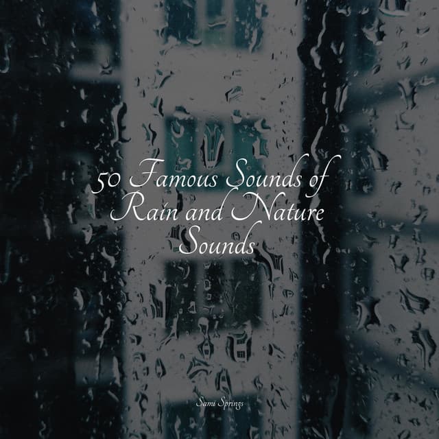 50 Famous Sounds of Rain and Nature Sounds - Oasis de Détente et Relaxation