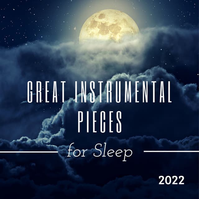 Great Instrumental Pieces for Sleep 2022 - Zen Buddhist Art