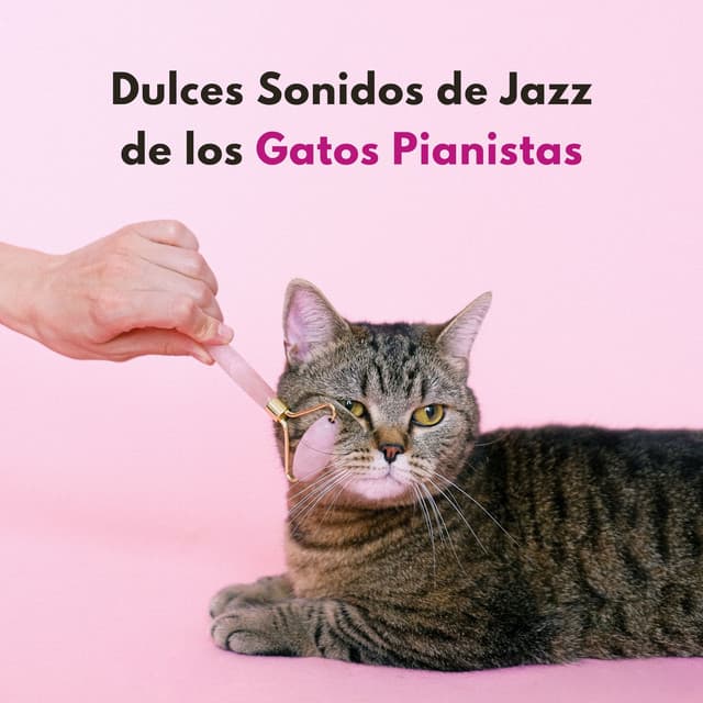 Dulces Sonidos De Jazz De Los Gatos Pianistas - Gato de piano