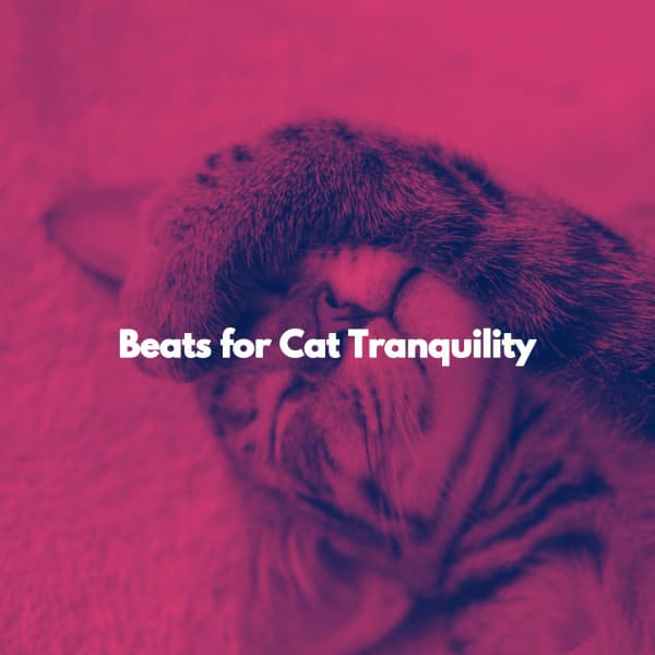 Beats for Cat Tranquility - Work & Jazz Background Music