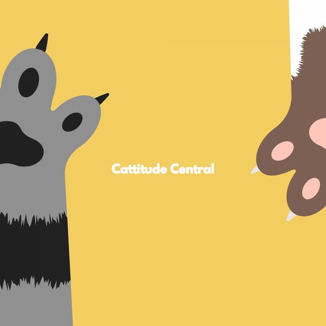 Cattitude Central - Música para Concentrarse Proyecto