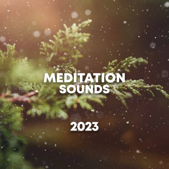 Meditation Sounds 2023 - Rainforest Sounds