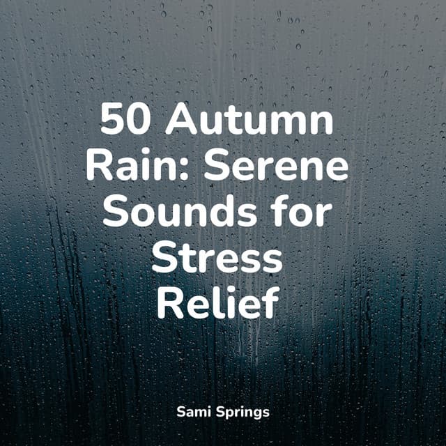 50 Autumn Rain: Serene Sounds for Stress Relief - Ambient Rain