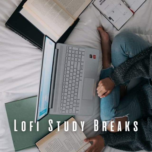 Lofi Study Breaks: Elevating Productivity and Creativity - Lofi For Study