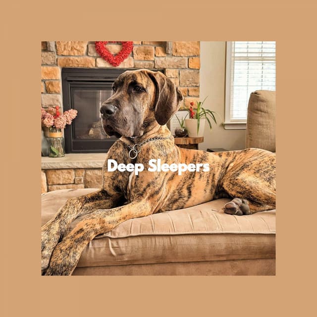Deep Sleepers - Calming Jazz For Dogs