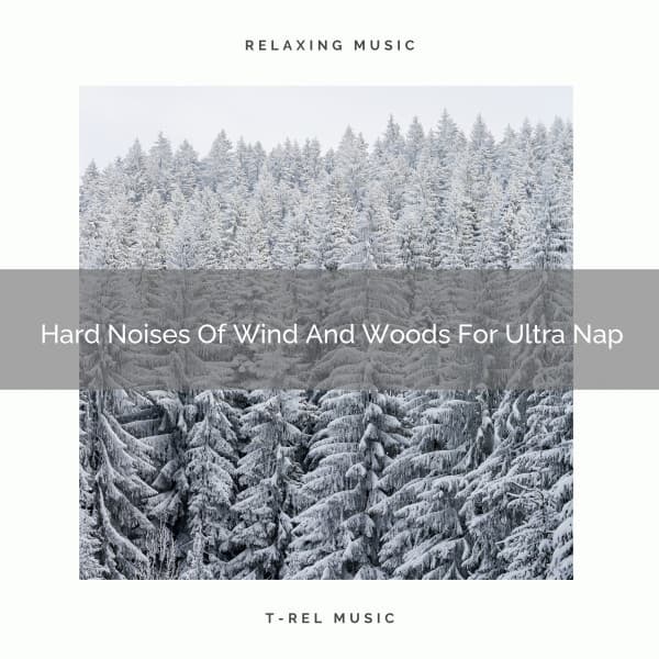 Hard Noises Of Wind And Woods For Ultra Nap - Sleep Dimension