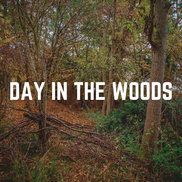 Day in the Woods - Actors of Nature