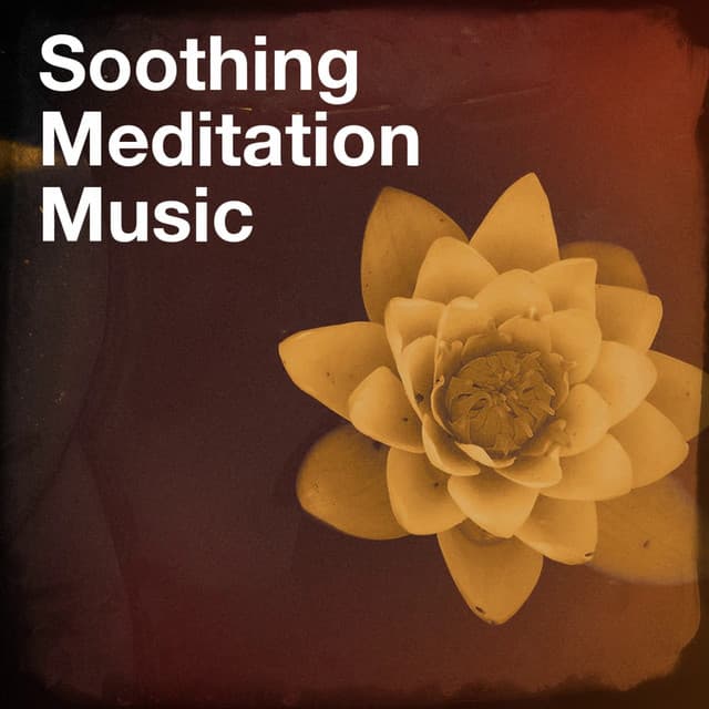 Soothing meditation music - Relaxation & Mediation With Music & Nature