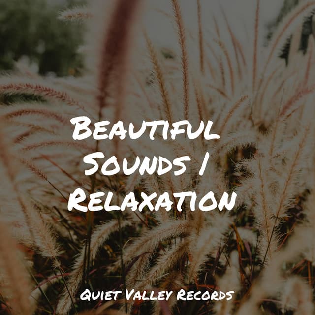 Beautiful Sounds | Relaxation - Nature Soundscape