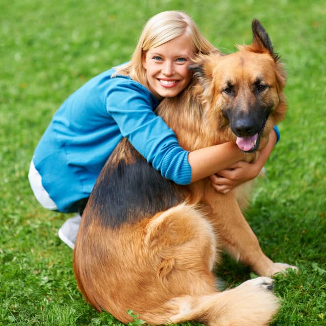 Nature's Harmonious Bond: An Ambient Journey to Deepen Pet Connections - Natures Orchestra