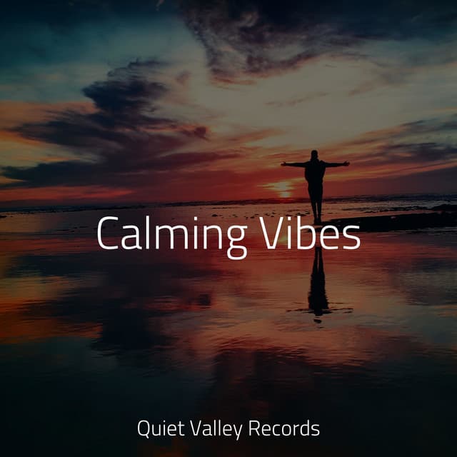 Calming Vibes - Sleep Songs with Nature Sounds