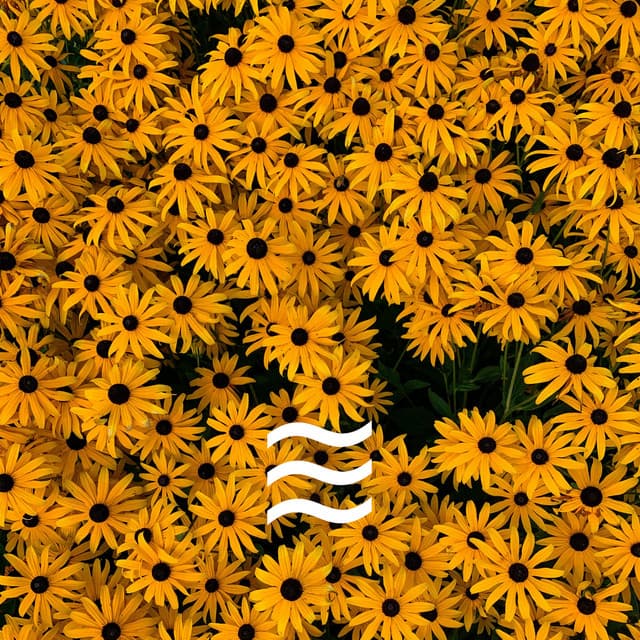 Babies Calm and Soothing Smooth Water Sounds - Sea Waves Sounds for Babies