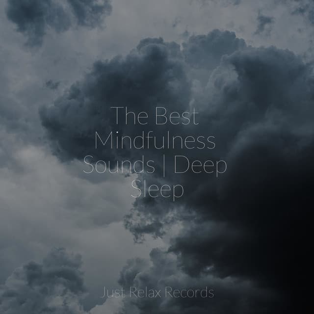 The Best Mindfulness Sounds | Deep Sleep - Calm Music for Studying