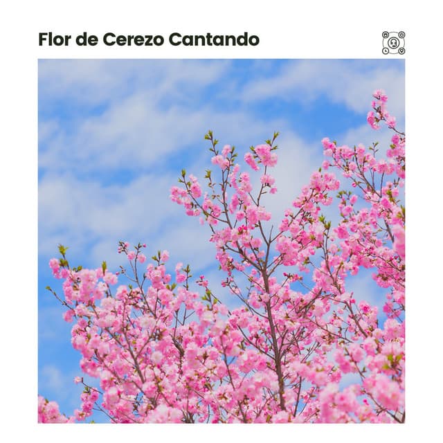 Flor de Cerezo Cantando - Meditación Con Ruido Rosado