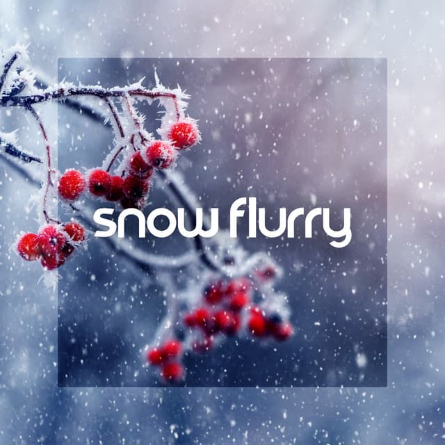 Snow Flurry - Li Pash