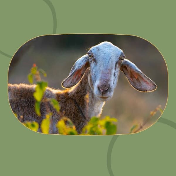 Stylish Ballad Jazz - Bgm for Refreshing Spring - Música Alegre para Cafe