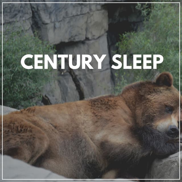 Century Sleep - Baby Sleep Sounds