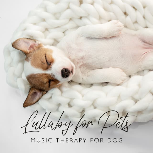 Lullaby for Pets: Music Therapy for Dog, Anti Anxiety, Inner Peace, Anxiousness, Insomnia, Gentle Sounds for Puppies - Pet Music Academy