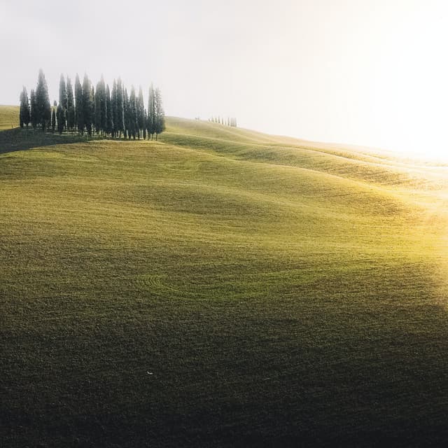 Doze White Colic Sound - Baby Sleeping Music