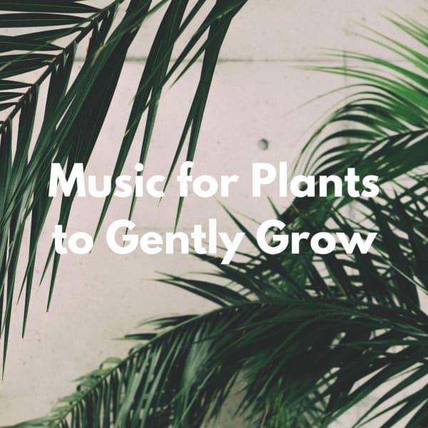 Music for Plants to Gently Grow - Calma