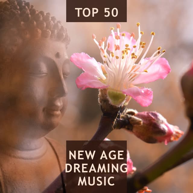 Top 50 New Age Dreaming Music: Nature Sounds with Ocean Waves, Rain and Birds for Meditation and Deep Sleep, Spirit of Nature - True Happiness Academy