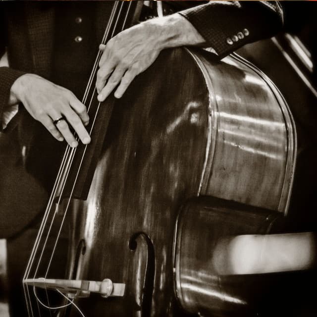 Heartstrings - Soothing Symphony