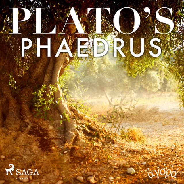 Plato's Phaedrus - Platon