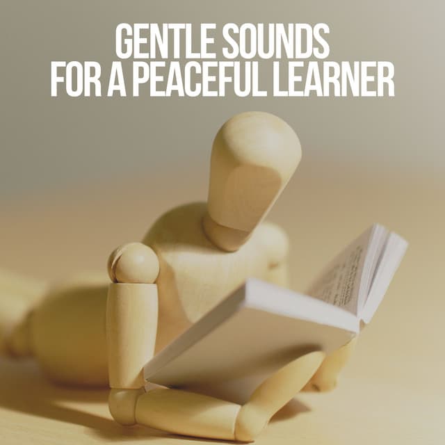 Gentle Sounds for a Peaceful Learner - Exam Study