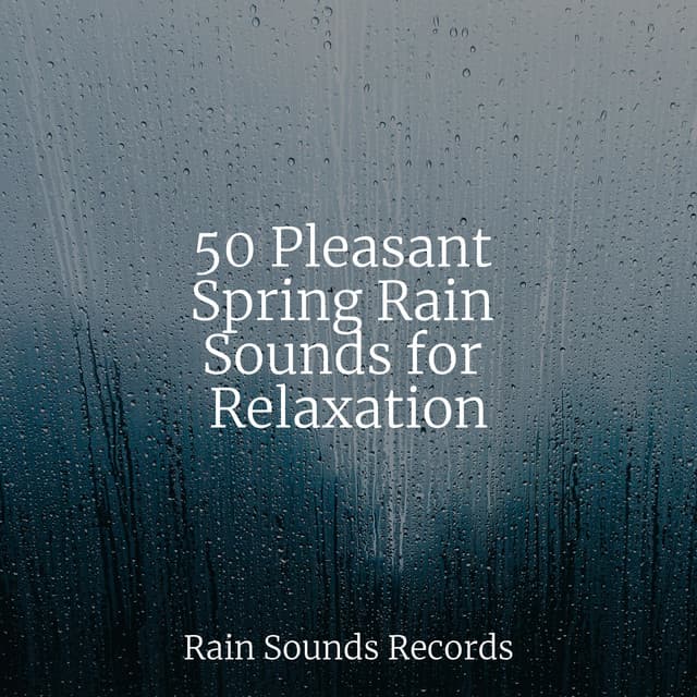 50 Pleasant Spring Rain Sounds for Relaxation - Sonido Del Bosque y Naturaleza