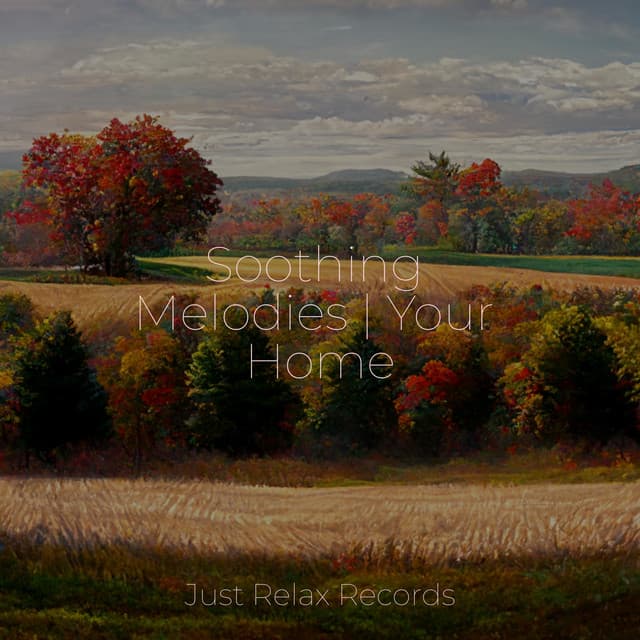 Soothing Melodies | Your Home - Meditación Guiada